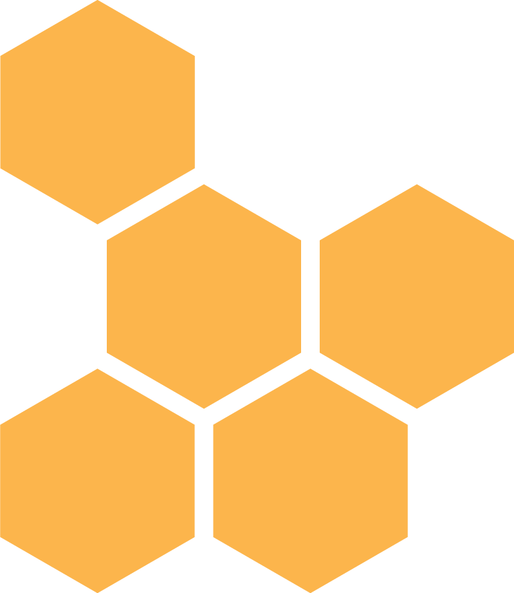 Graphic 1 Asociatia Crescatorilor de albine din Romania Filiala Timis